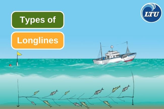 Here are 6 Longlines Types for Fishing